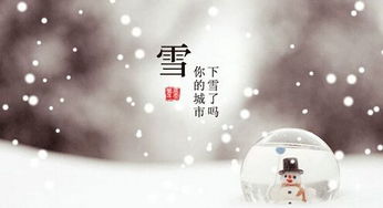 班得瑞初雪钢琴曲原版：感受纯净的音乐魅力，体验初雪的神秘美丽
