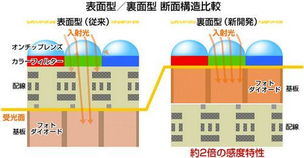 香港期期准资料大全|快速解答解释落实_安卓款.1.914