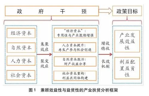 澳门三码三码期期准100精准|探索未来的幸运与机会_UHD版.3.128